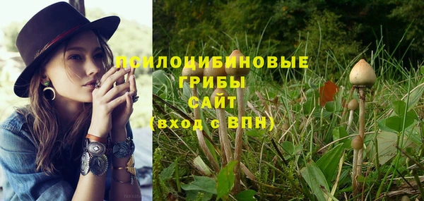 хмурый Вязьма