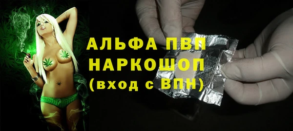скорость Вяземский