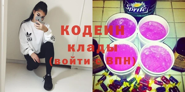 скорость Вяземский
