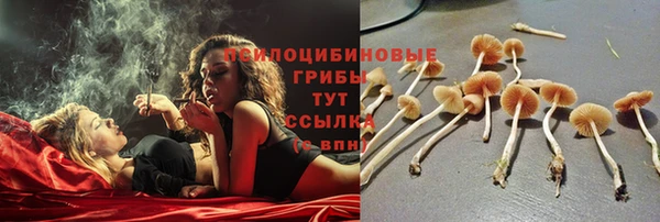хмурый Вязьма
