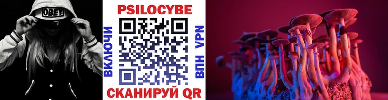 Галлюциногенные грибы Psilocybine cubensis  нарко площадка телеграм  Ачинск 